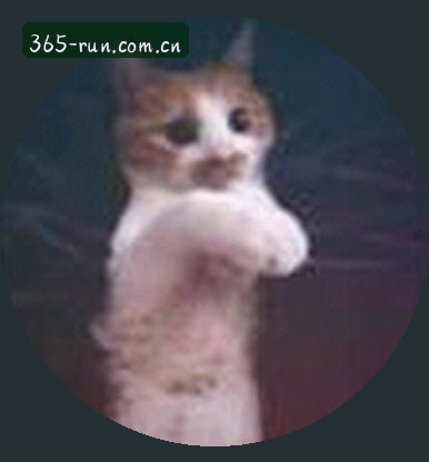 吴迪